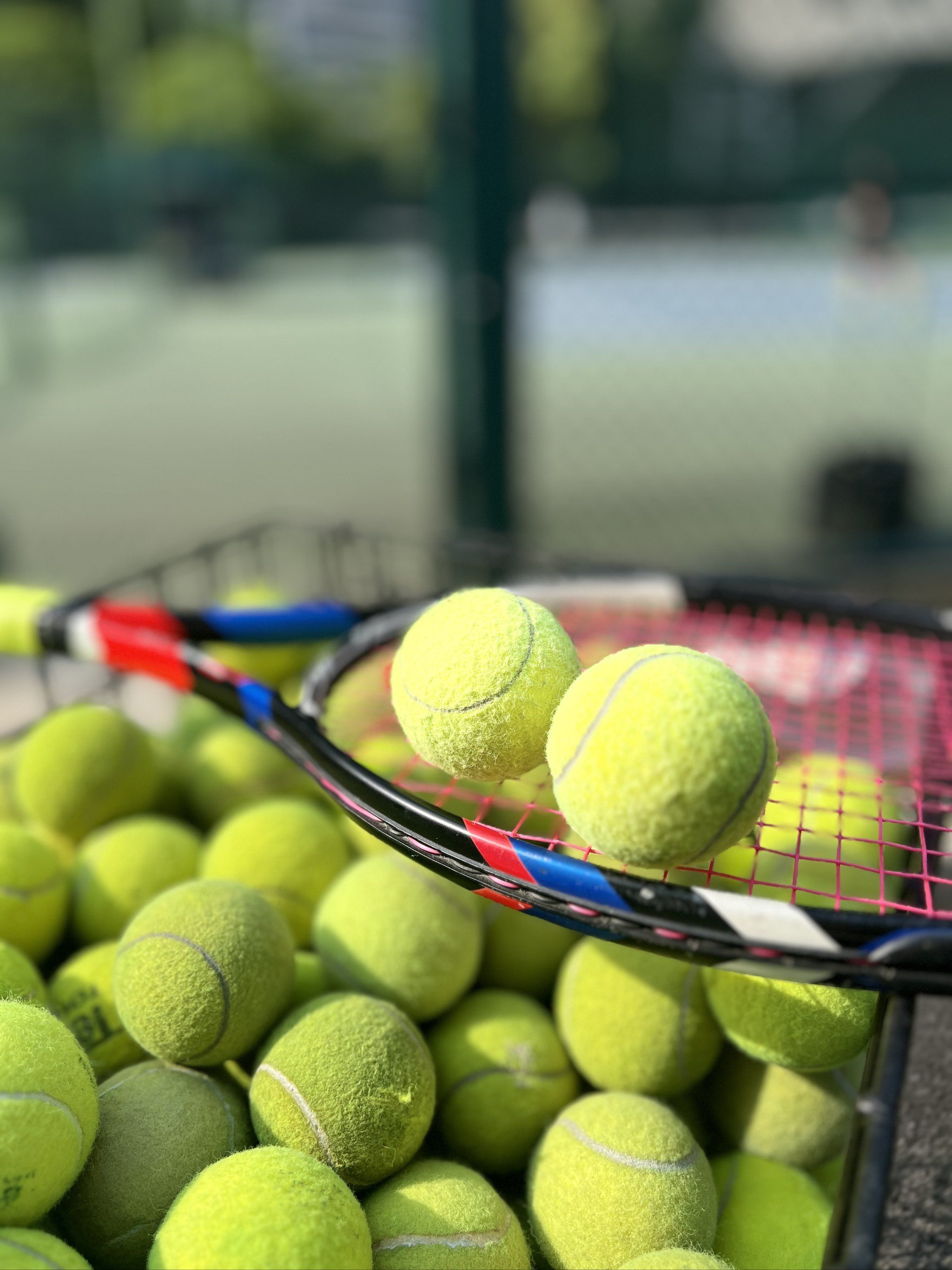 多包容左手 多包容左手