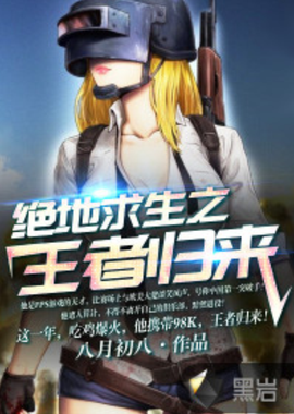 案例分析