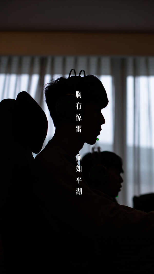 公众形象双